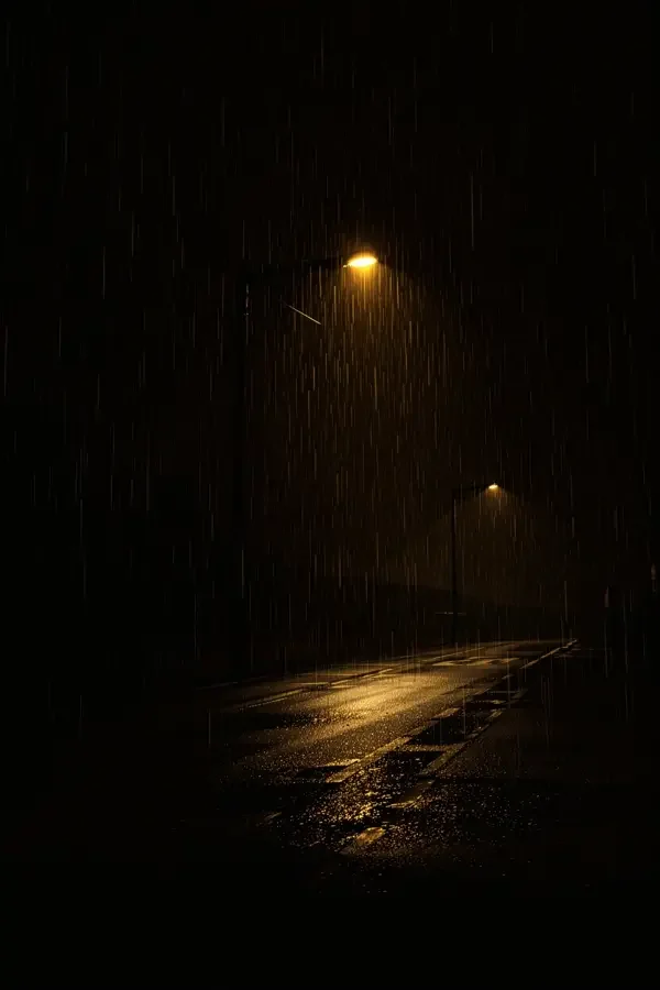 根系之下 - 免费电影网 犯罪剧集根系之下海报,雨后城市街道上撑裂路面的树根与路灯下侦探剪影